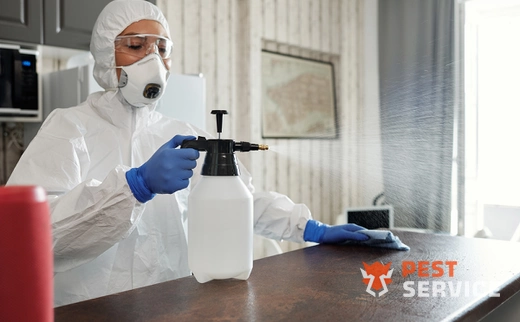 Дезинфекция в Рубцовске